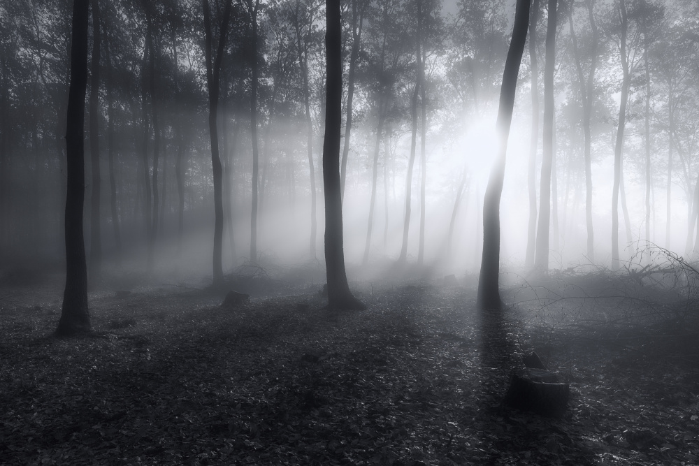 Hazy Light von Leicher Oliver