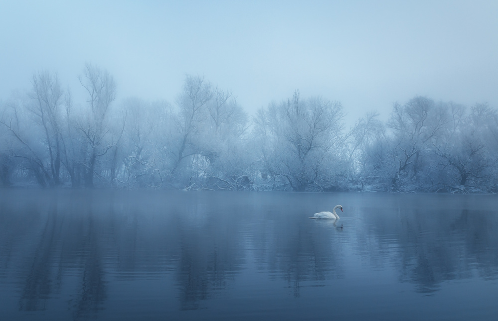 Lonely Morrning von Leicher Oliver