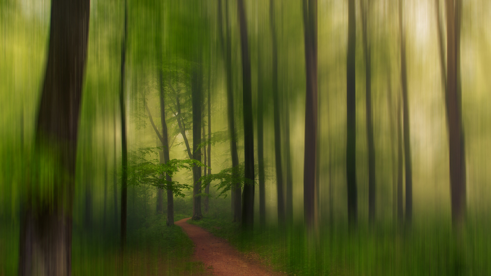 The Green Forest. von Leif Løndal