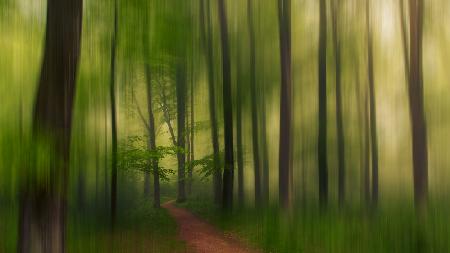 The Green Forest.