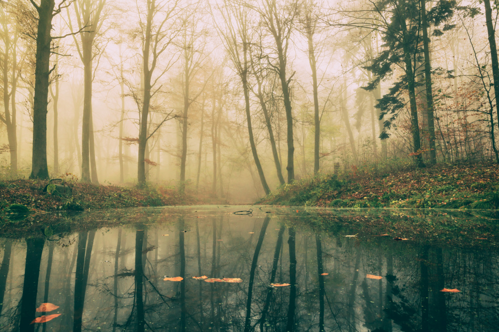 Dark water. von Leif Løndal