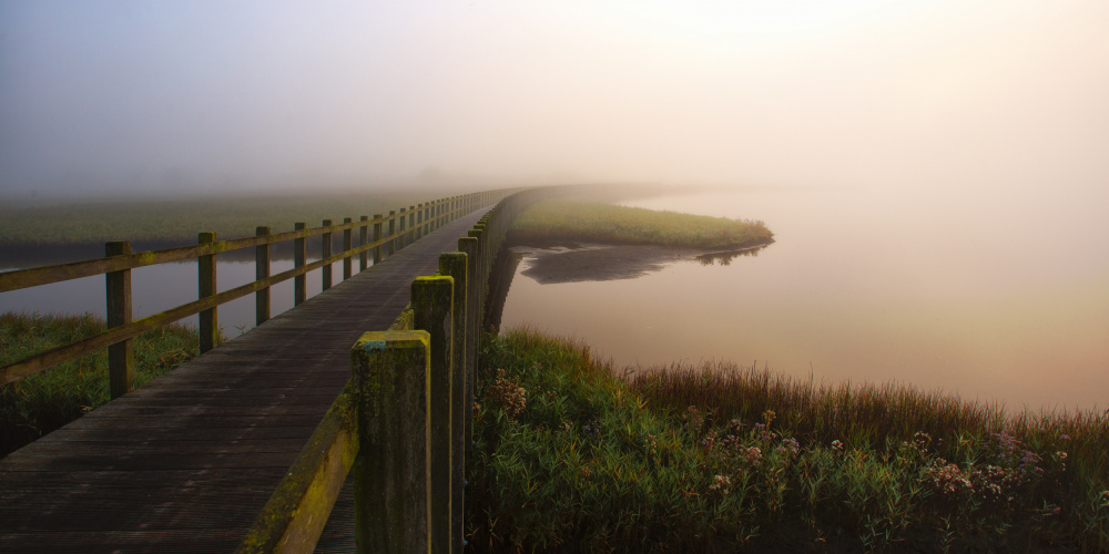 Walk in silence. von Leif Løndal