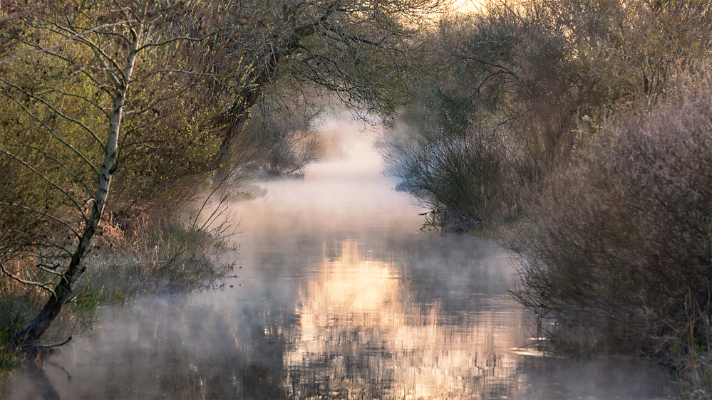 Into the fog. von Leif Løndal