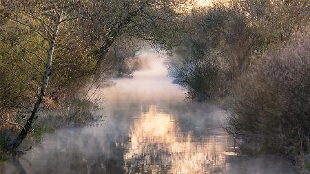 Into the fog.