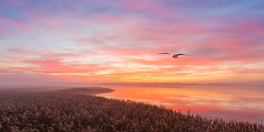 Lovely morning flight. von Leif Løndal