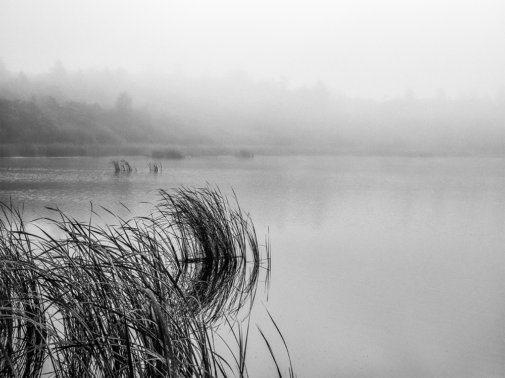 Lake mood on a foggy day von Leif Løndal