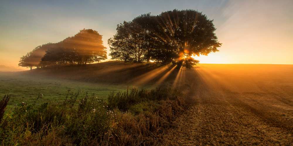 Sunbeams von Leif Løndal