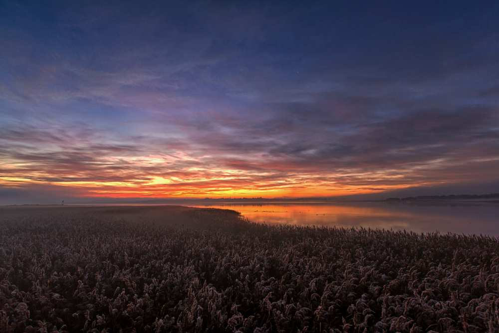 The morning silence. von Leif Løndal