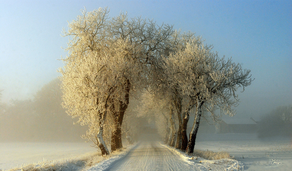 Winter  gateway von Leif Westling