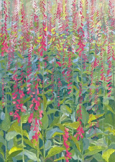 Foxgloves