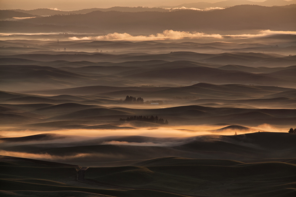 Misty sunrise at Palouse von Leon U