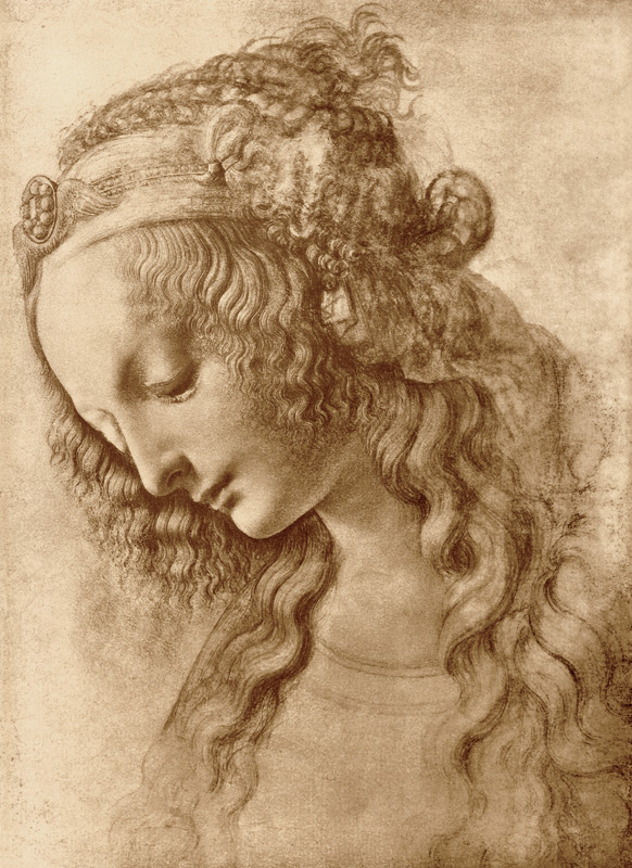 Female head in profile von Leonardo da Vinci