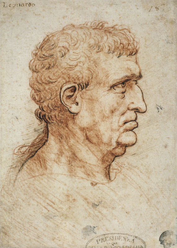 Head of a Man in Profile von Leonardo da Vinci