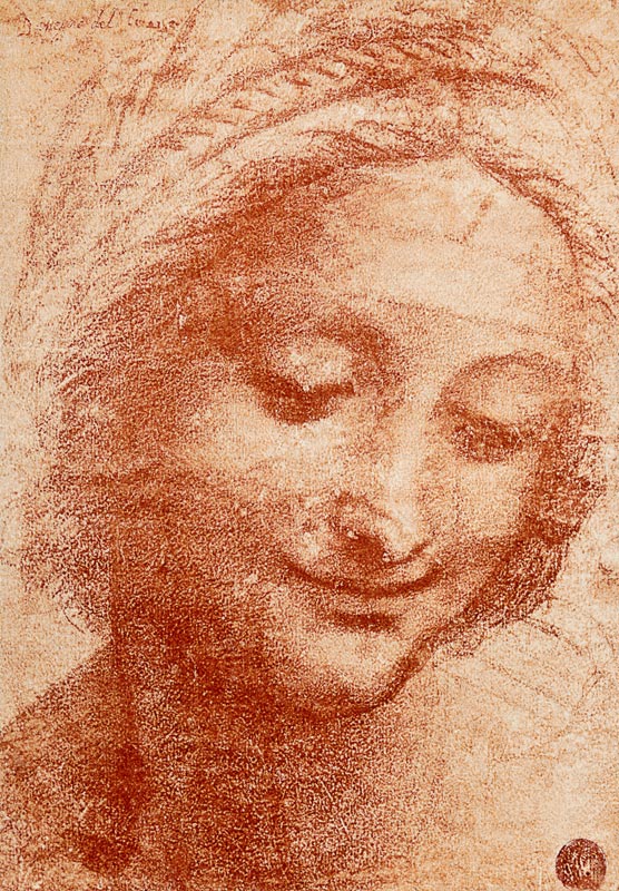 Head of a Woman von Leonardo da Vinci