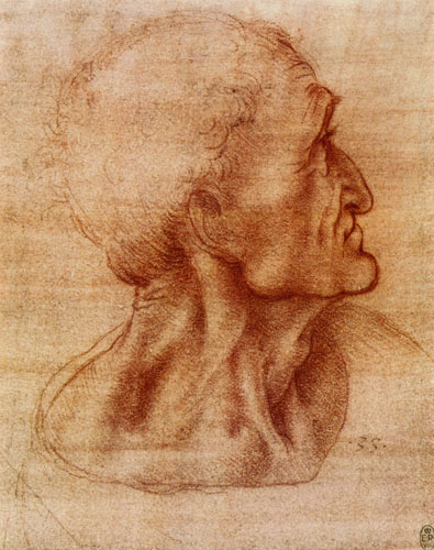 Studie für das Abendmahl (Judas) von Leonardo da Vinci