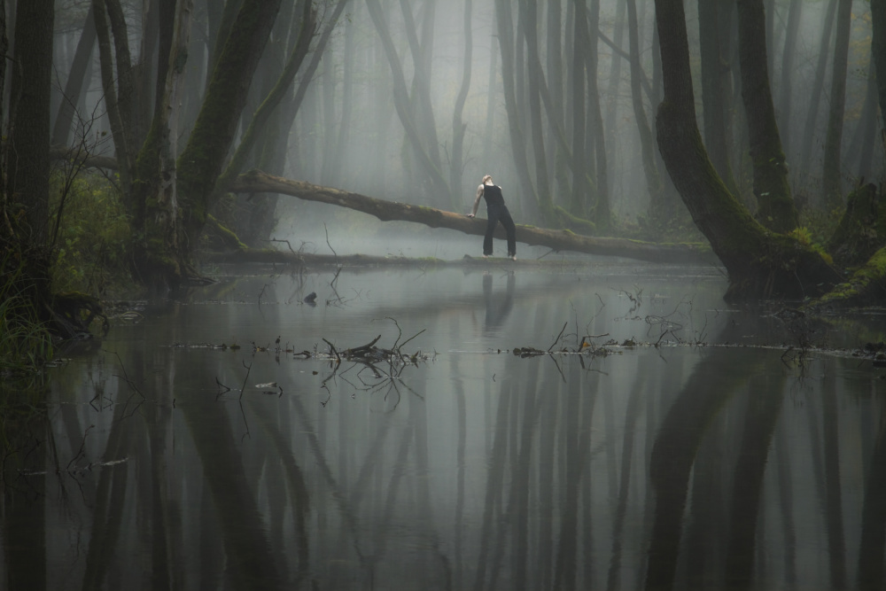 The cry of loneliness von Leszek Paradowski