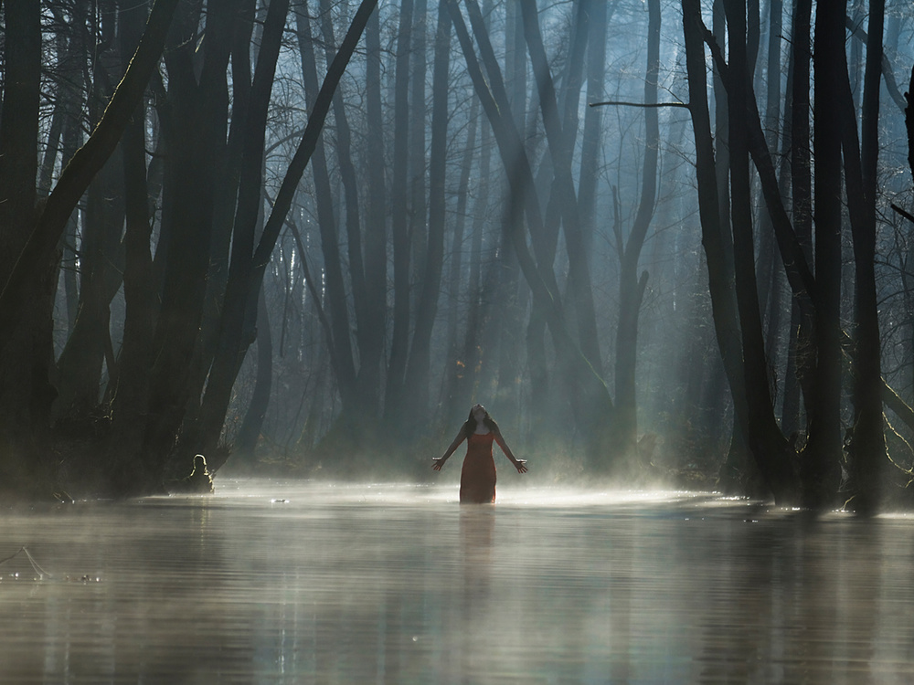 Joy of Existence von Leszek Paradowski