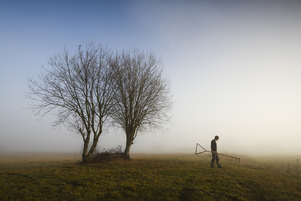 Empty nest von Leszek Paradowski