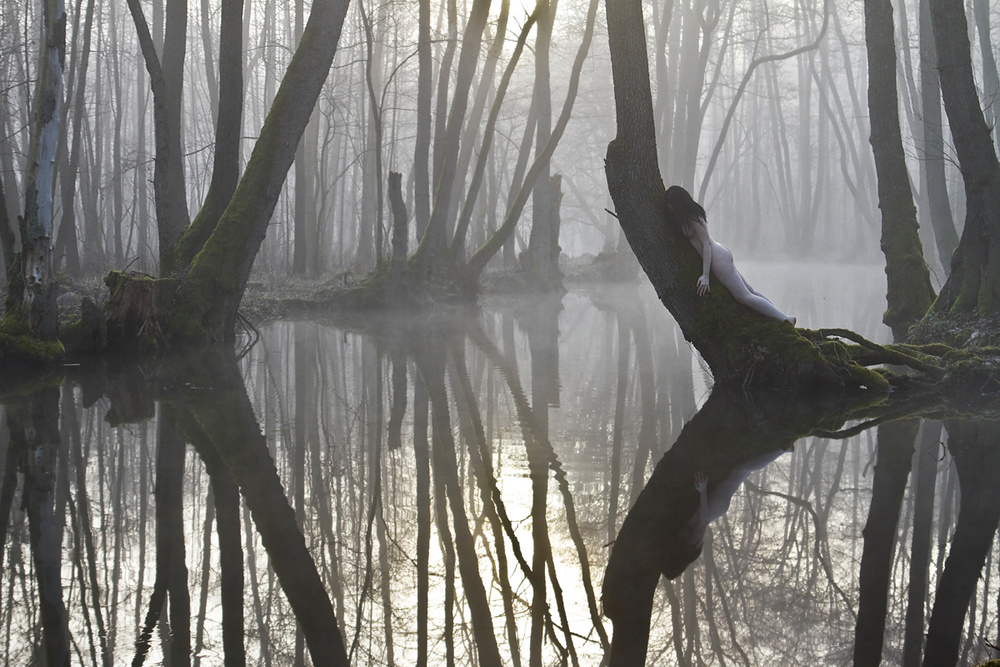 Merged With Nature von Leszek Paradowski