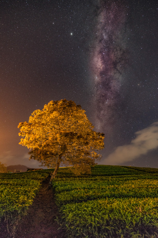 milky way von Lety Liza