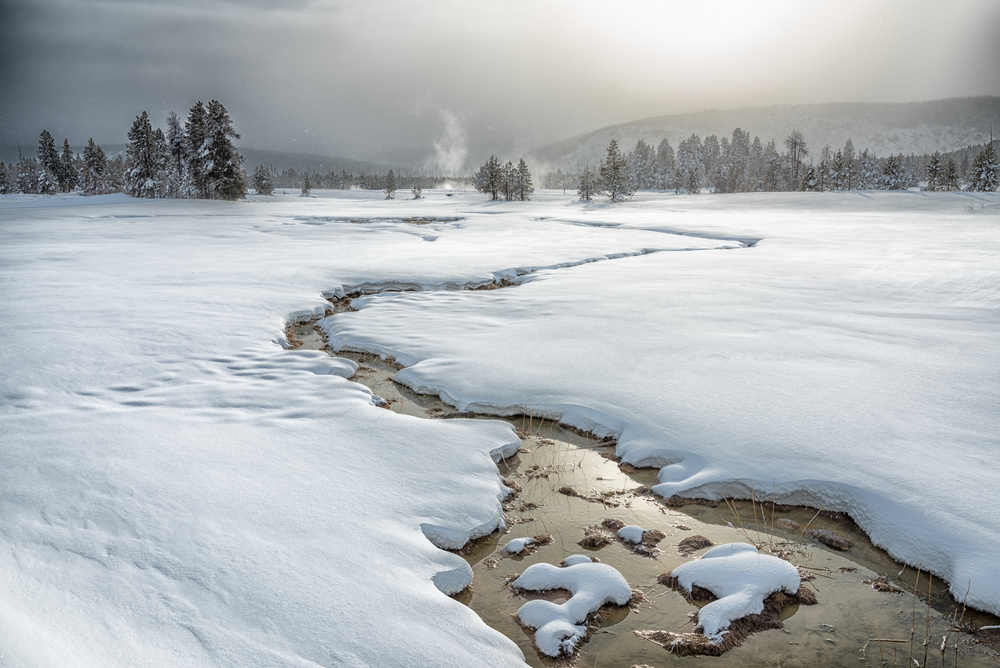 Winter at Yellowstone von Li Qun Xia