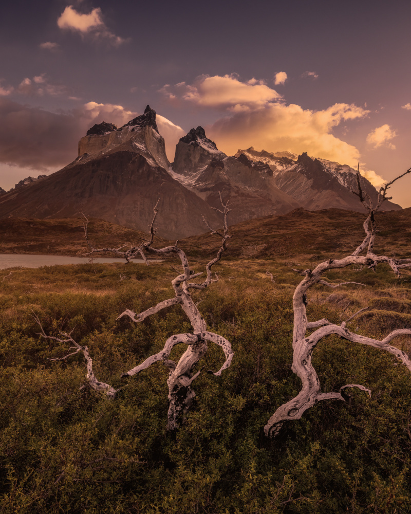 After Sunrise von Li Ying