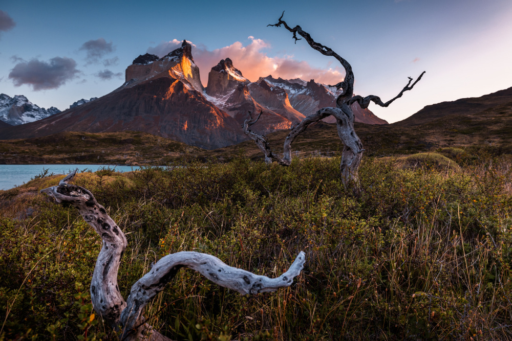 Dance under the Torres del Paine von Li Ying