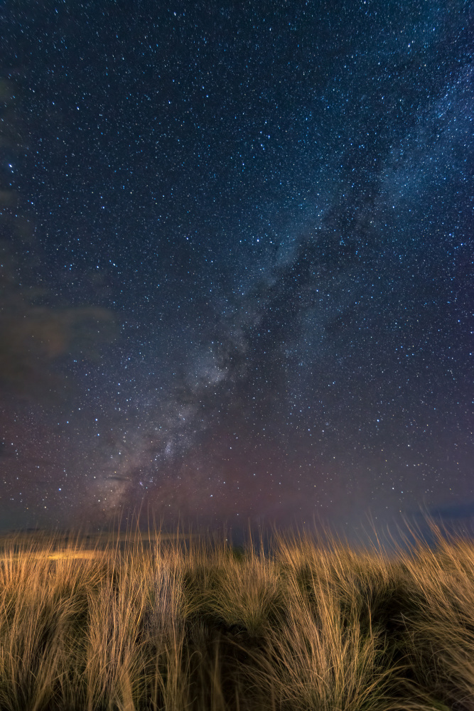 A Windy Night von Lian Tang