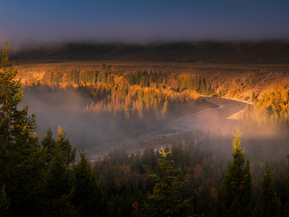 Autumn Morning von Lian Tang