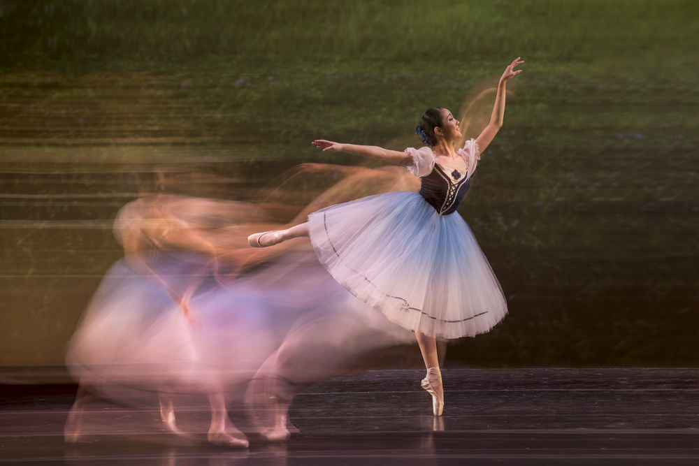 Coppelia von Libby Zhang