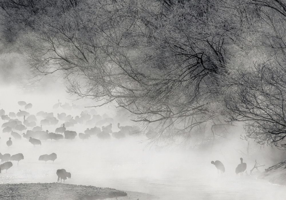 Hokkaido Winter von Libby Zhang