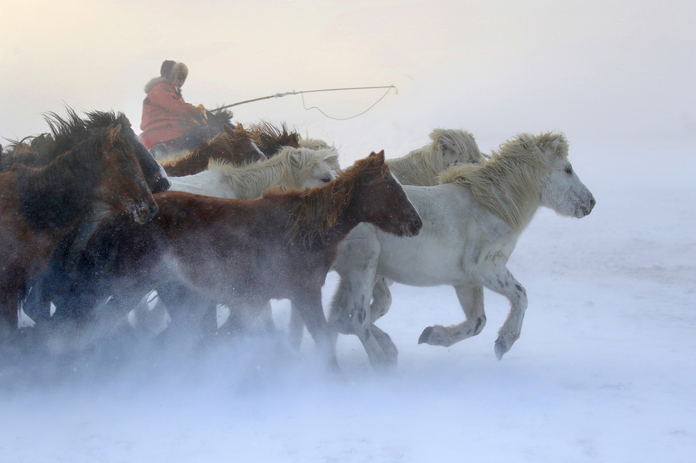 Mongolia winter von Libby Zhang