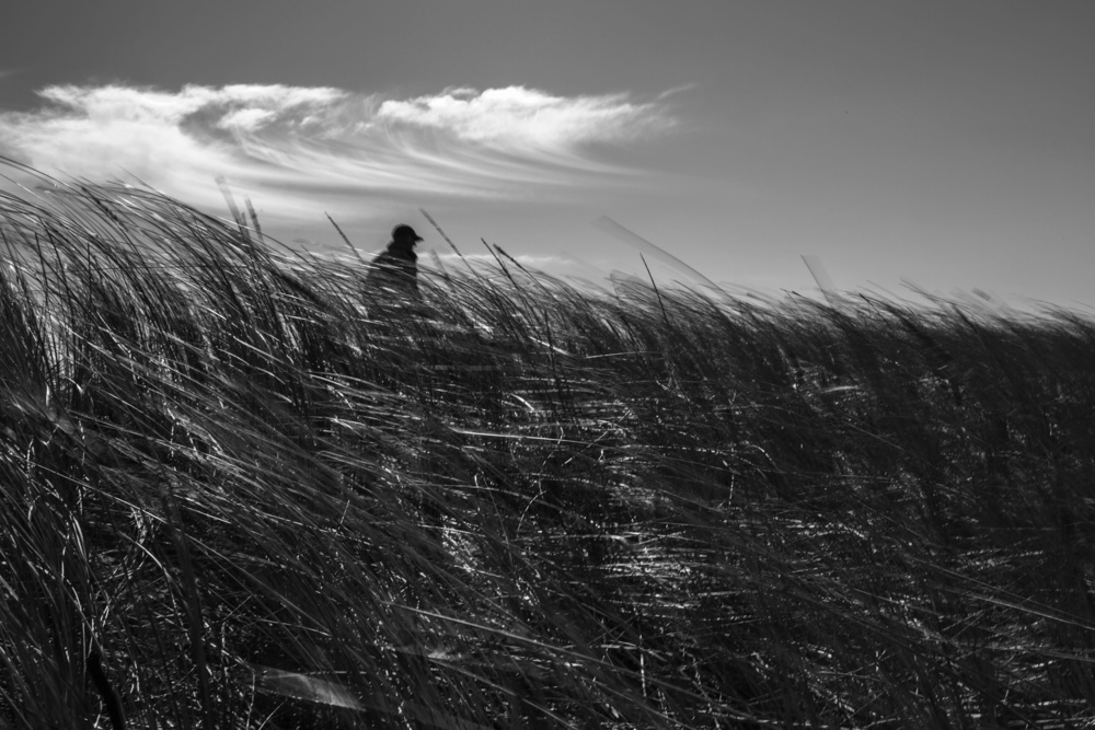 walking von Liesbeth van der Werf