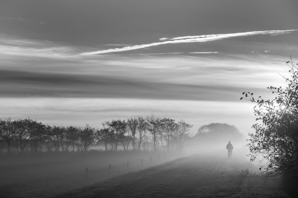 Terschelling von Liesbeth van der Werf