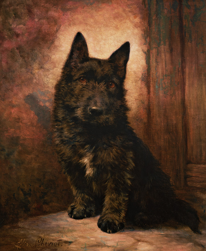 Scottie Puppy von Lilian Cheviot