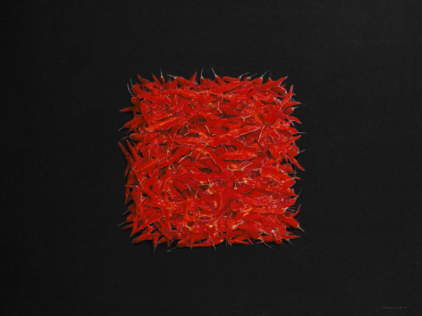 Chillies (oil on canvas)  von Lincoln  Seligman