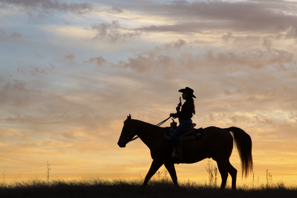 Cowgirl fun with Silhouette von Linda D Lester