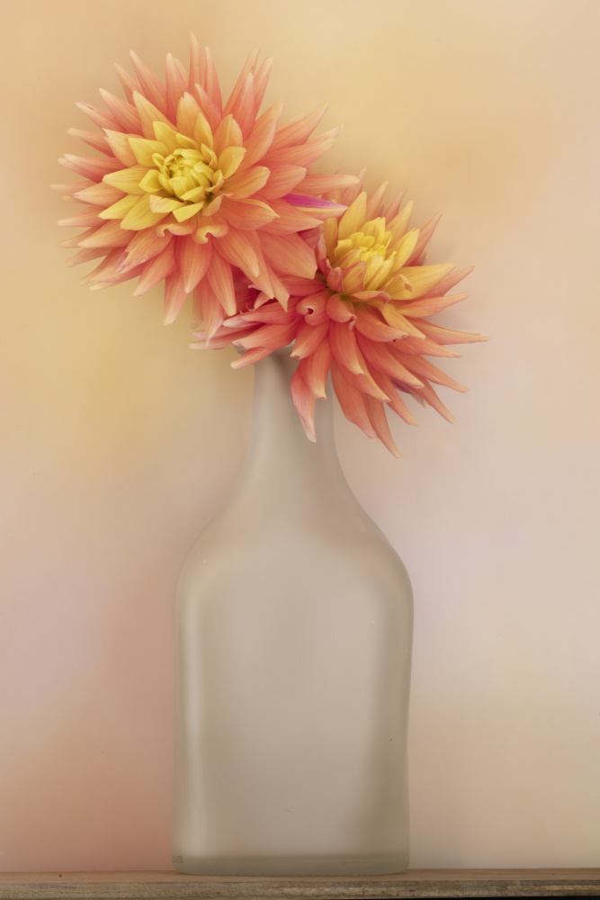 The Dahlia and Vase von Linda D Lester