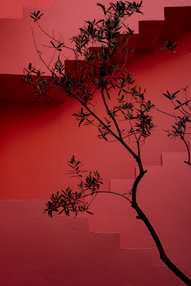 Muralla Roja #14 von Linda Wride