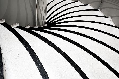 zebra steps