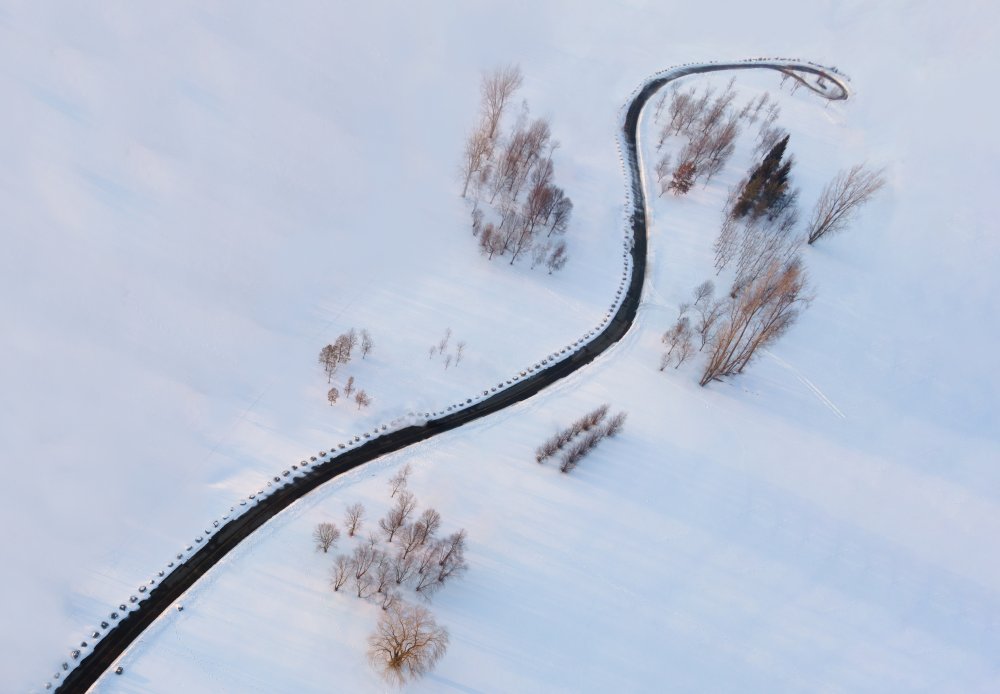 The road curve von Ling Lu