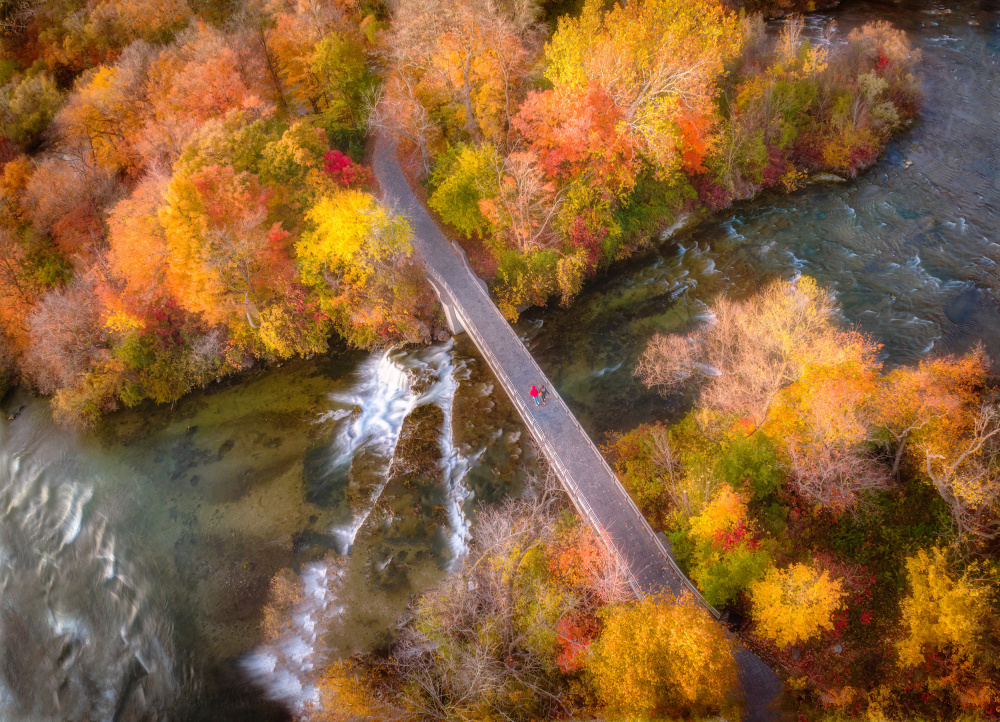 Autumn Bridge von Ling Lu