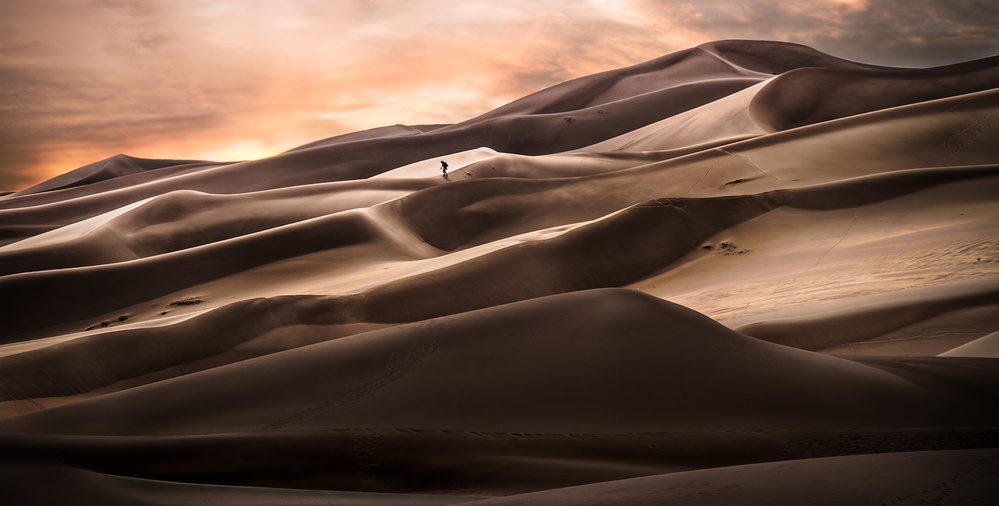 The way home von Lior Yaakobi