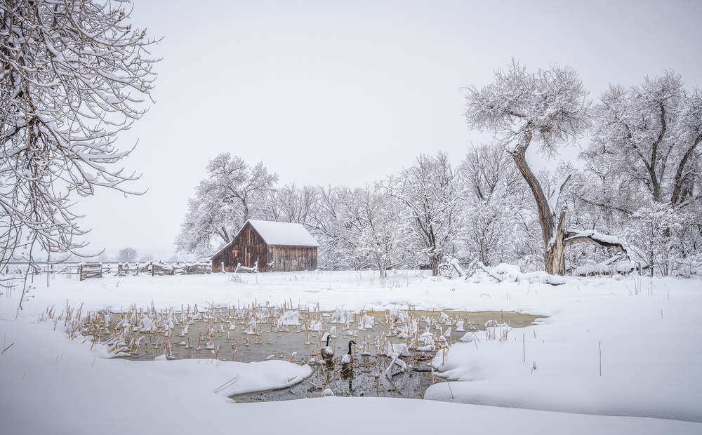 A Fairytale von Lior Yaakobi