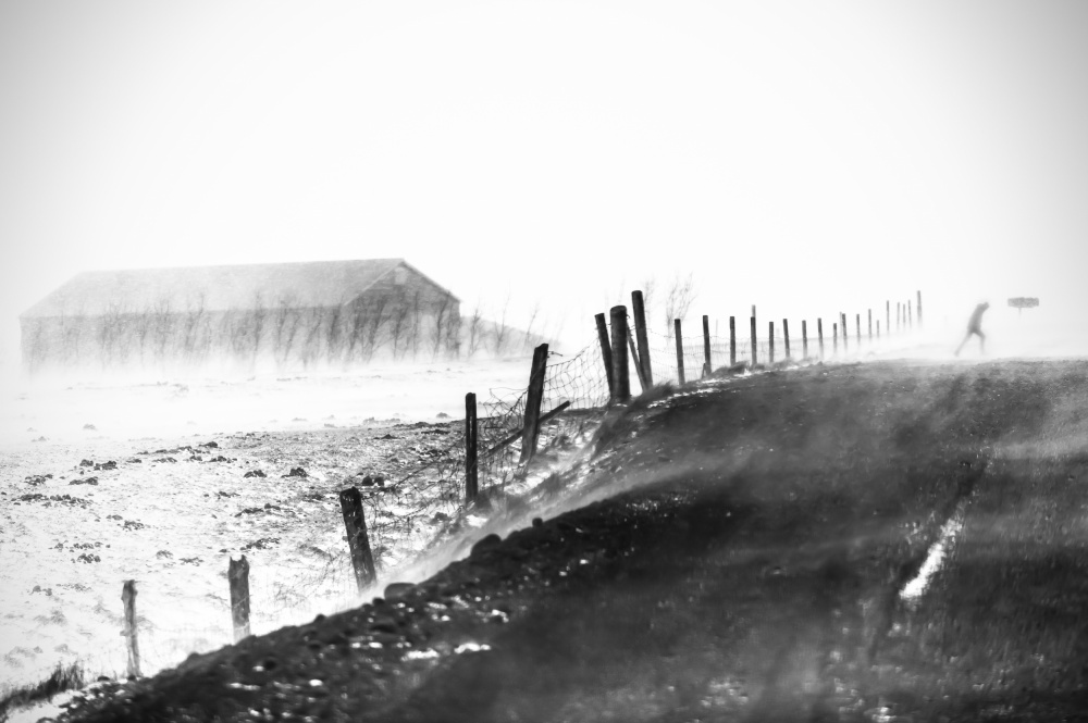 Shelter from the storm von Lior Yaakobi