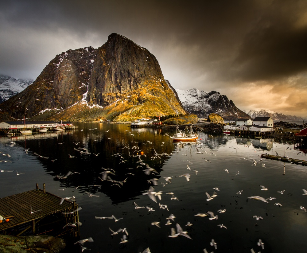 Flying Away von Lior Yaakobi