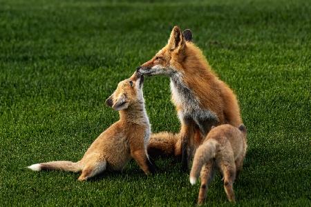 Mothers kiss, sweet kiss.