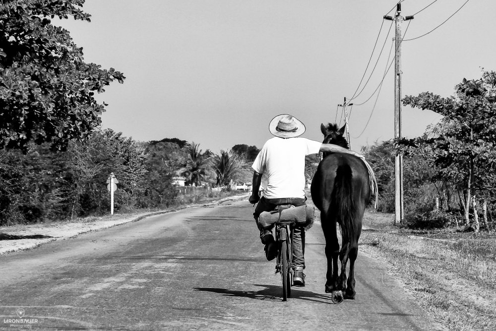 Best friends von Liron Bauer