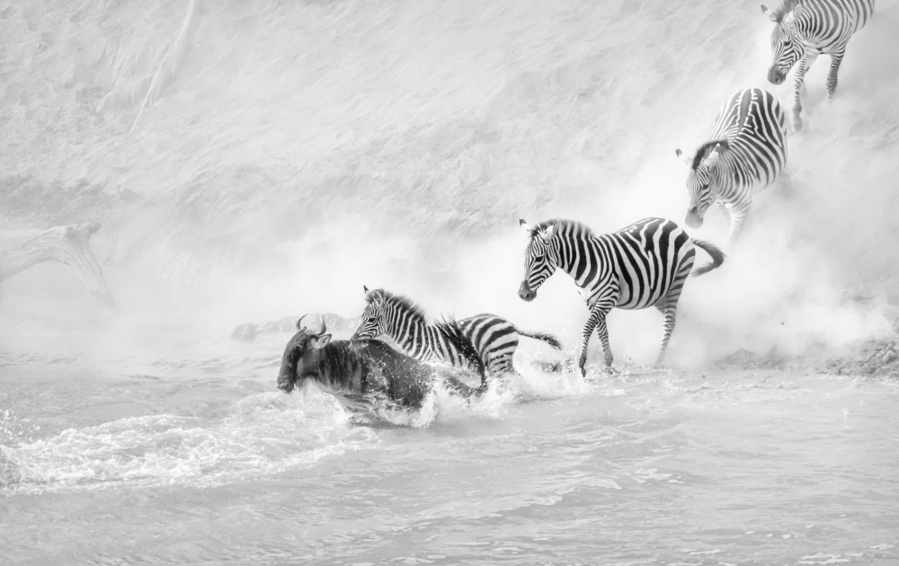 Crossing the river von Lisa D. Tang