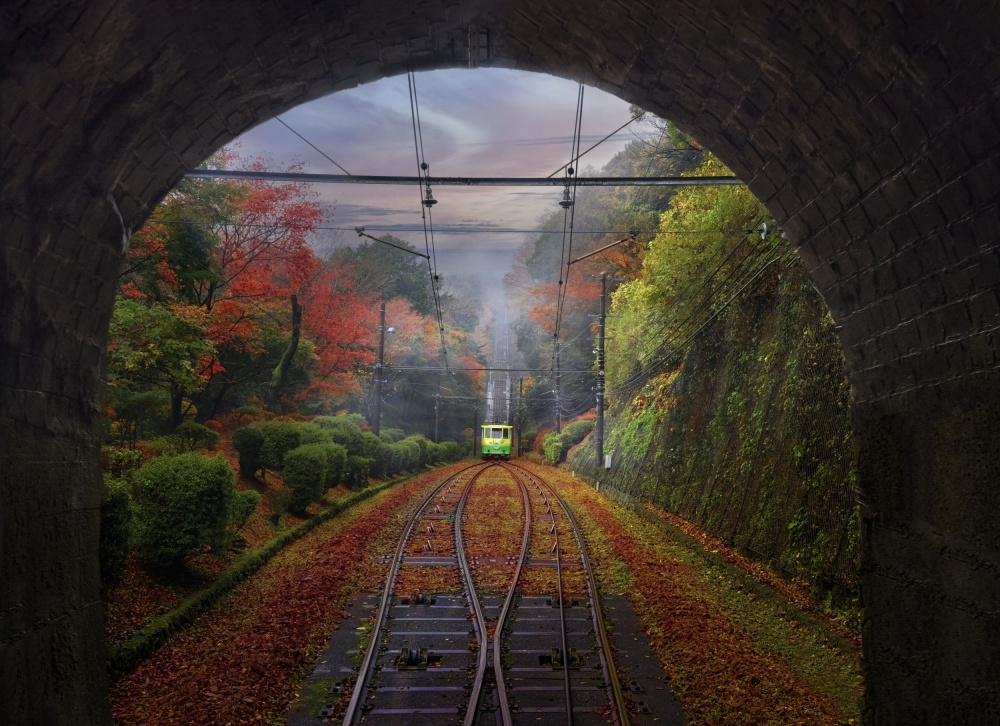 The Train, Japan von Lisa D. Tang